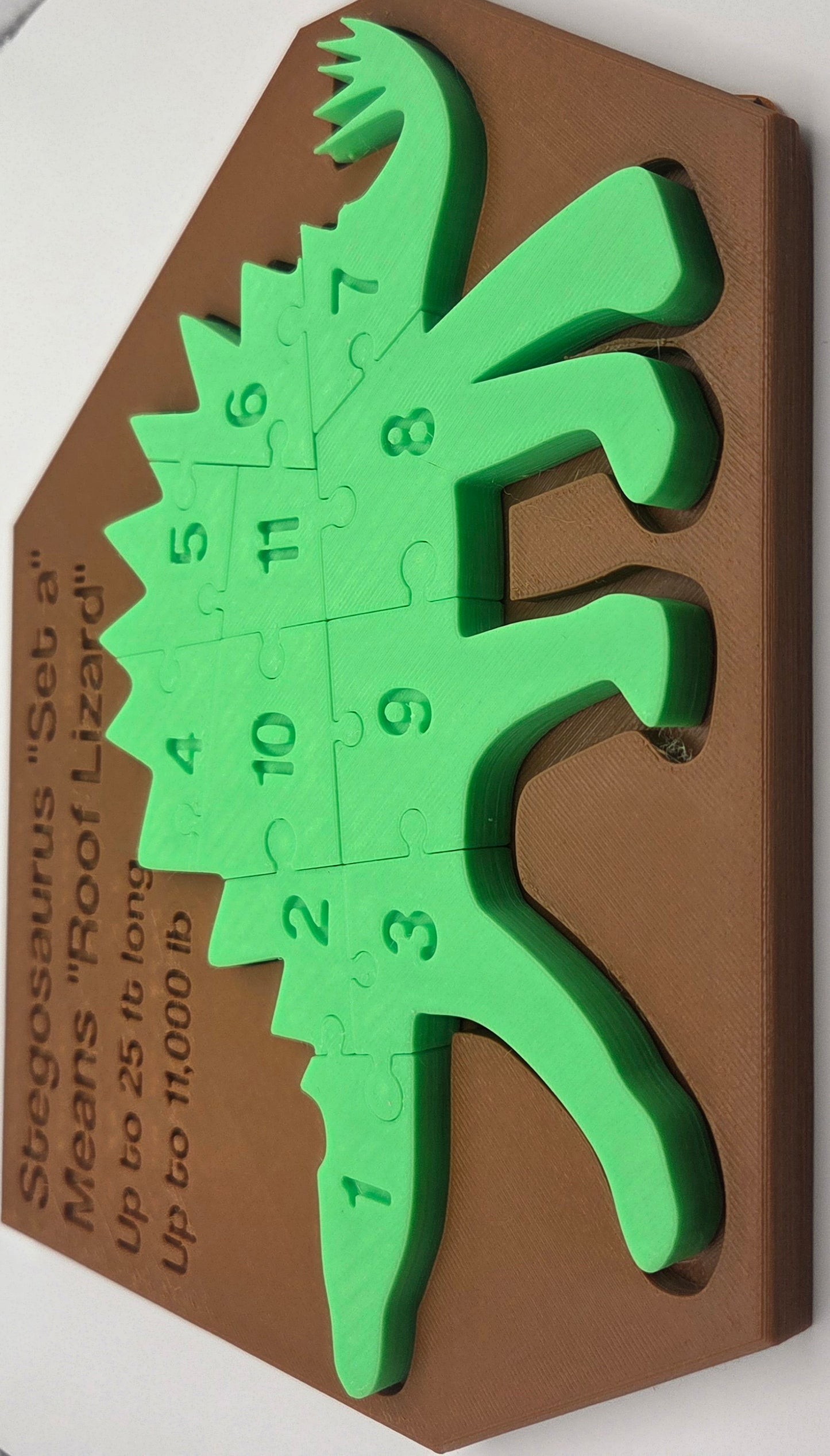 Stegosaurus Puzzle
